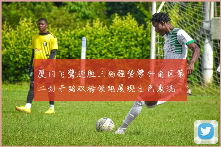 厦门飞鹭连胜三场强势攀升南区第二刘子铭双榜领跑展现出色表现