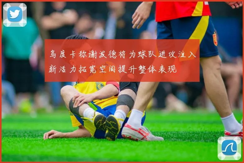 乌度卡称谢泼德将为球队进攻注入新活力拓宽空间提升整体表现